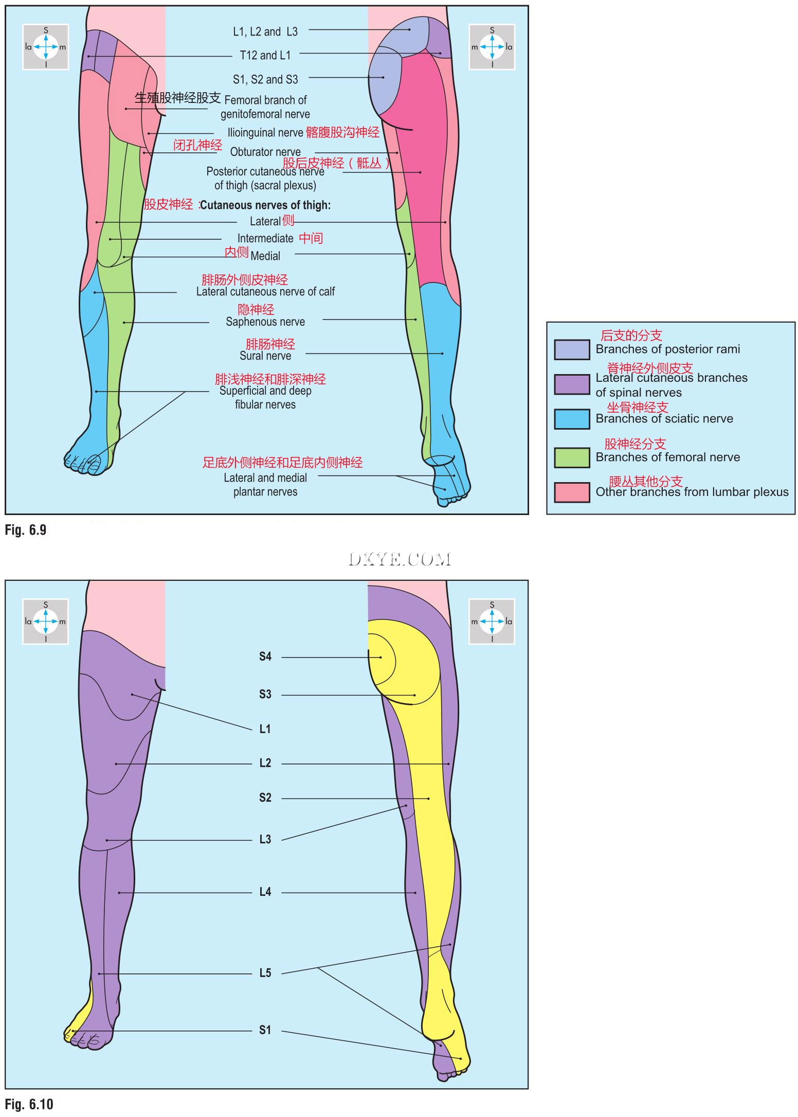 6-9,10.jpg