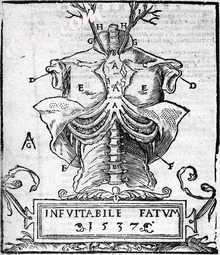 Mondino de Luzzi's Anathomia, 1541