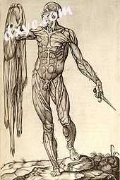 Muscular figure in allegorical pose by Juan Valverde de Amusco, 1559