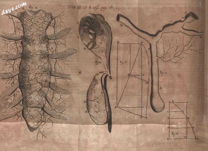 Illustration from Acta Eruditorum, 1691.jpg