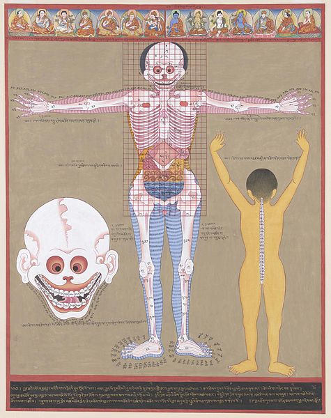 An anatomy thangka.jpg