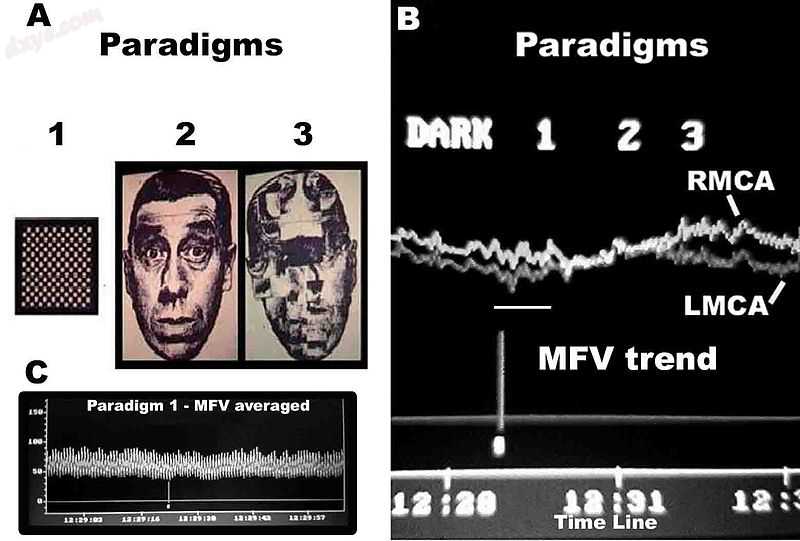 Facial Paradigms.jpg