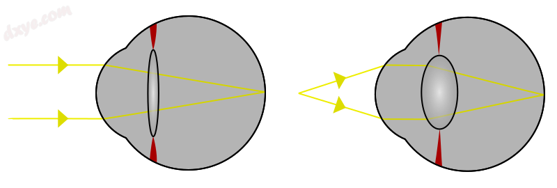 Light from a single point of a distant object and light from a single point of a.png
