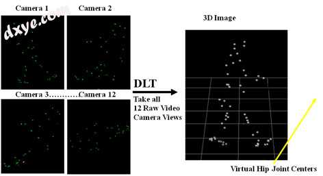 Acquisition of information on the position of the markers in 2D through the cham.jpg