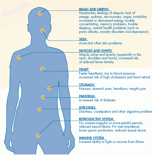 The physiological effects of stress on the body.gif