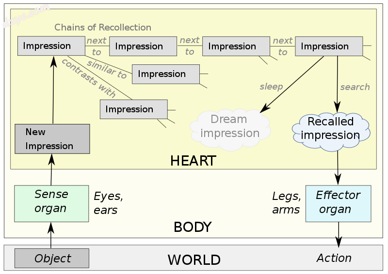 Senses, perception, memory, dreams, action in Aristotle&#039;s biology. Impressi.png