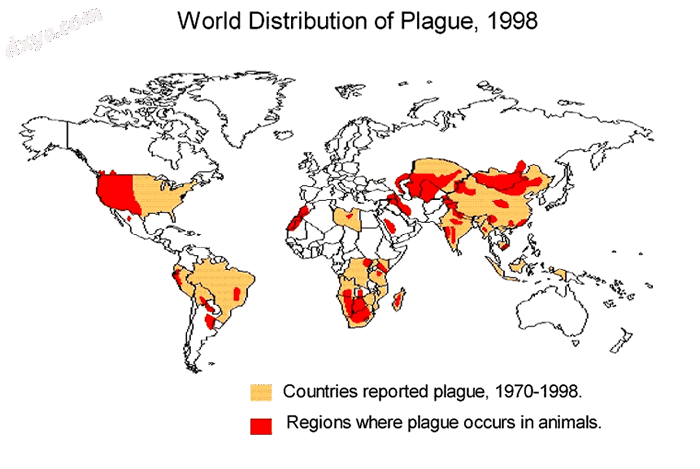 Distribution of plague infected animals 1998.png