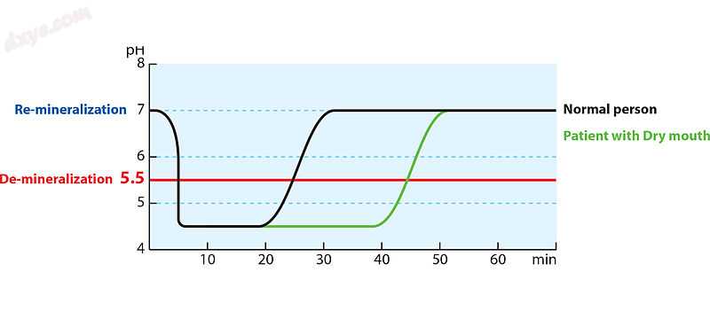 Diagram depicting mouth acidity changes after consuming food high in carbohydrat.jpg