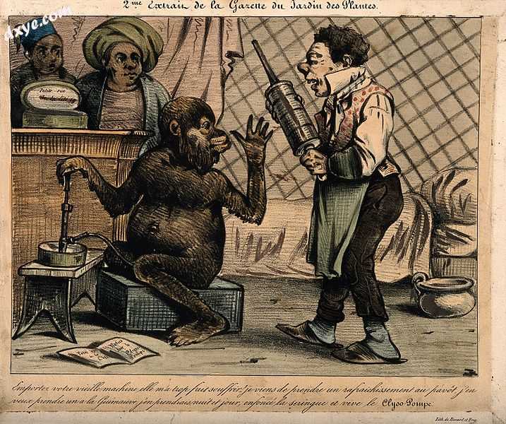 19th century satirical cartoon of a monkey rejecting an old style clyster for a .jpg