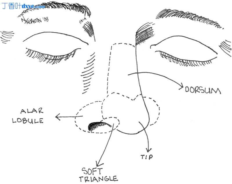 前额皮瓣：鼻软组织重建的黄金标准