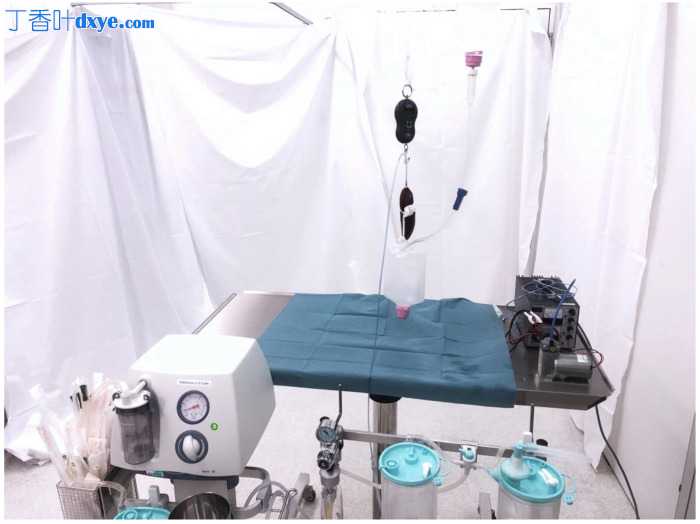 用于腹腔镜和机器人肾癌手术的新型真空组织保存装置的研制和体外评估