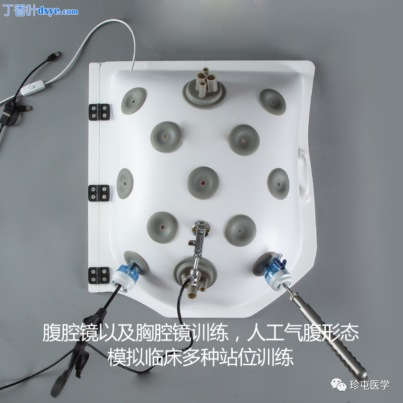 仿生体 - 胸腹一体式腔镜模拟器（19孔/双单端）配套介绍