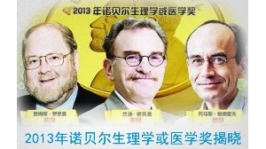 北京时间10月7日17点30分，2013年诺贝尔生理学或医学奖在瑞典斯德哥尔摩揭晓。