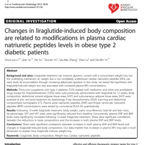 心脏利钠肽或与利拉鲁肽减重作用有关