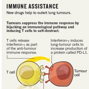 肺癌的免疫治疗展望