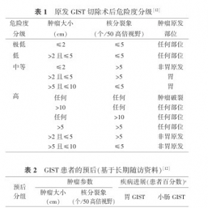 中国胃肠间质瘤诊断治疗共识（2013年版）更新要点解读