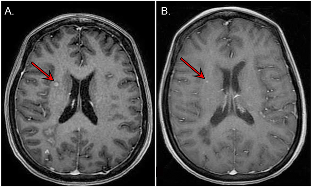 1717259h12.bmp