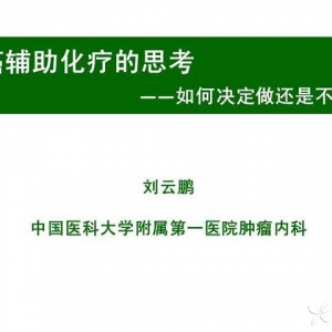 刘云鹏：胃癌辅助化疗的思考&mdash;&mdash;如何决定做还是不做？