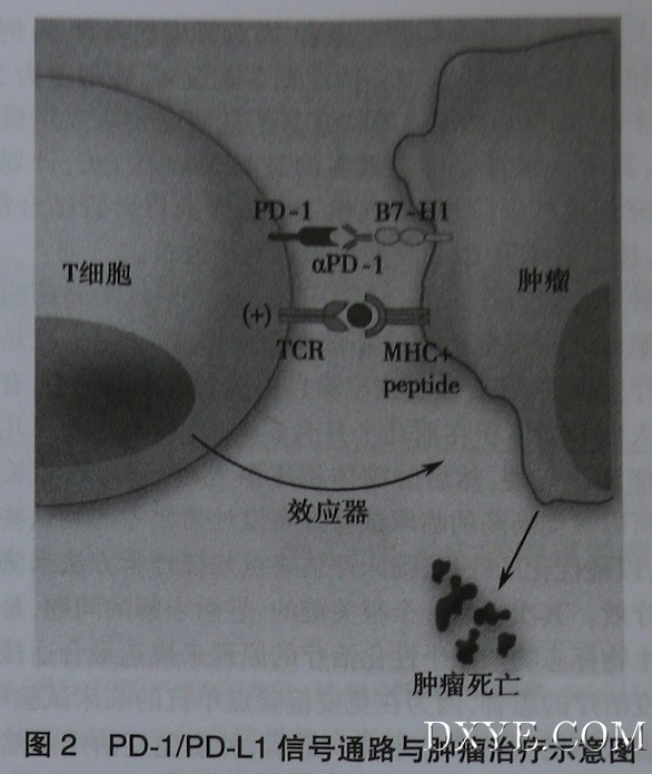 沈03.jpeg