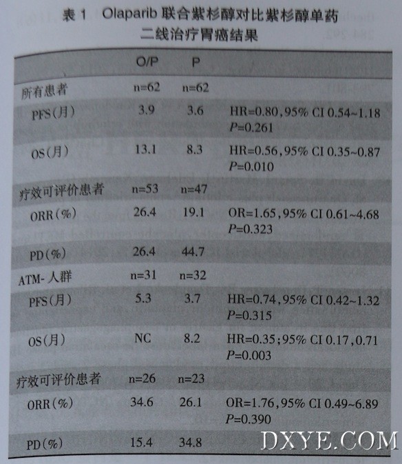 沈02.jpeg