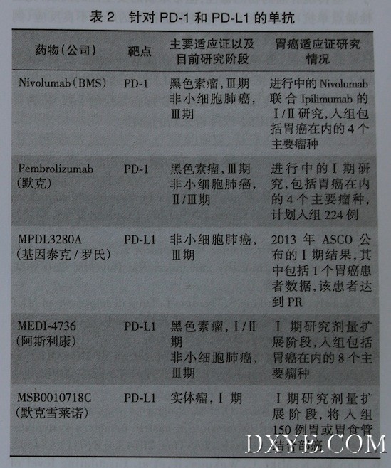 沈04.jpeg