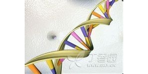 包玉倩：T2DM患者应进行癌症筛查