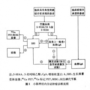 小肠神经内分泌肿瘤诊断方法的新进展