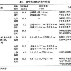 放射治疗中食管癌临床靶区确认的争议与共识