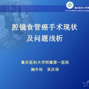 吴庆琛：腔镜食管癌手术现状及问题浅析