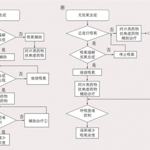 综述：氧疗在晚期肺癌患者中的应用