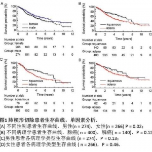 男性I期肺腺癌患者行楔形切除需慎重