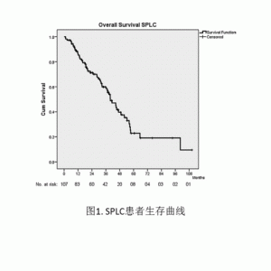 立体定向放射消融治疗第二原发肺癌安全有效