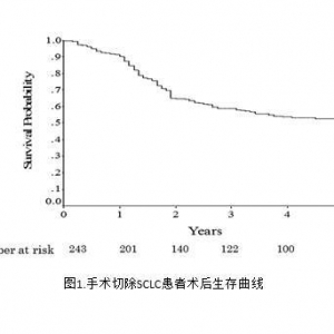 外科治疗早期小细胞肺癌疗效满意