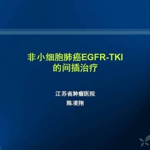 陈凌翔：非小细胞肺癌EGFR-TKI的间插治疗