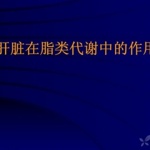 肝脏在脂类代谢中的作用