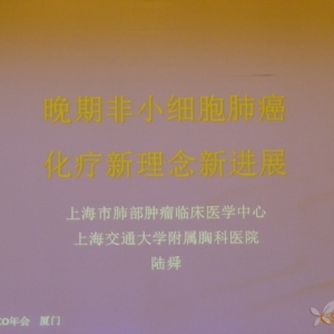 陆舜：晚期非小细胞肺癌化疗新理念新进展