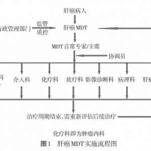 肝癌多学科综合治疗团队建立&mdash;广东专家共识（1）