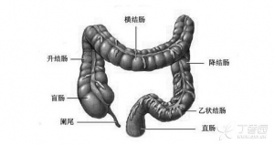 JACS：非手术方案可用于治疗无并发症的小儿急性阑尾炎