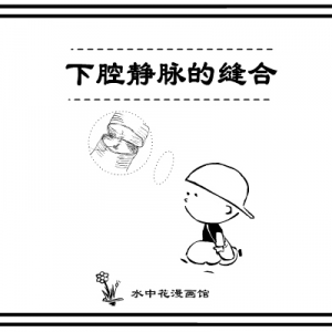 漫画肝脏解剖（三）