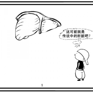 漫画肝脏解剖（一）