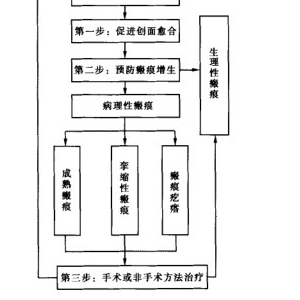 创伤性瘢痕的防治策略