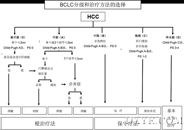无标题.jpg