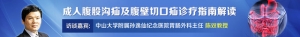 微访谈：陈双教授谈成人腹股沟疝及腹壁切口疝诊疗指南