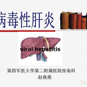 赵燕燕：病毒性肝炎总论