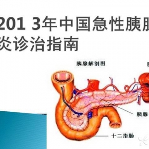2013年中国急性胰腺炎诊治指南