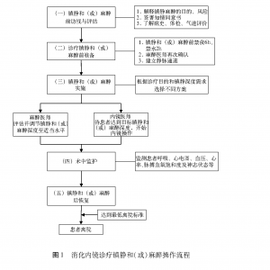 中国消化内镜诊疗镇静/麻醉专家共识意见