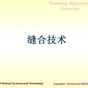 缝合技术