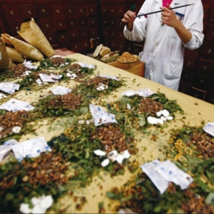 大陆中草药肝损害调查