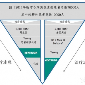 默克首创PD-1抑制剂Keytruda能领衔黑色素瘤市场吗？
