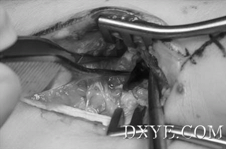 image002.gif